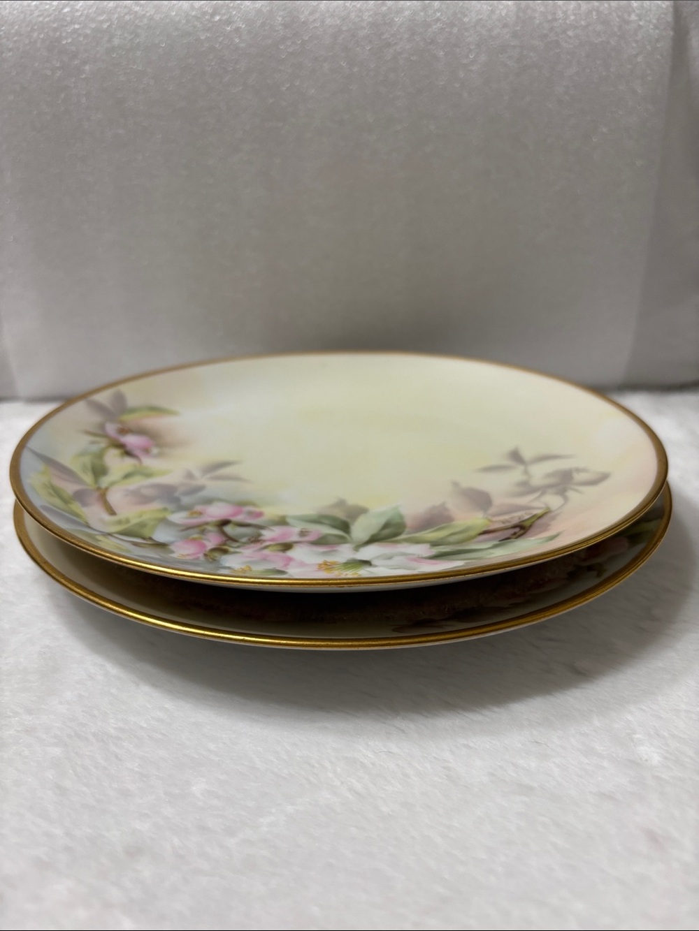 Antique Thomas Bavaria Hand Painted Plates Pair - Signed J.Kelly